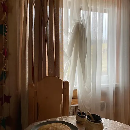 Marko 拉泽希纳